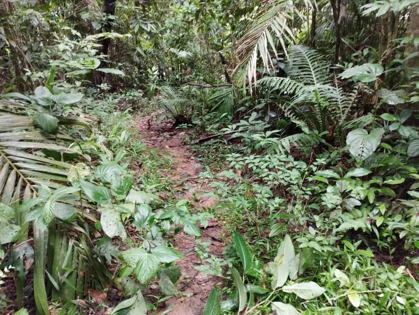 Terreno / Lote à venda, 19362m2 em Centro, Pomerode - SC - imagem 3 Foto 3 de Terreno / Lote à venda, 19362m2 em Centro, Pomerode - SC