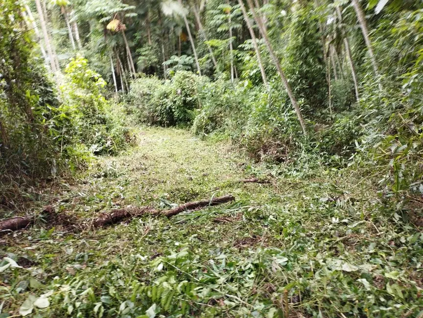 Terreno / Lote à venda, 19362m2 em Centro, Pomerode - SC - imagem 6 Foto 6 de Terreno / Lote à venda, 19362m2 em Centro, Pomerode - SC
