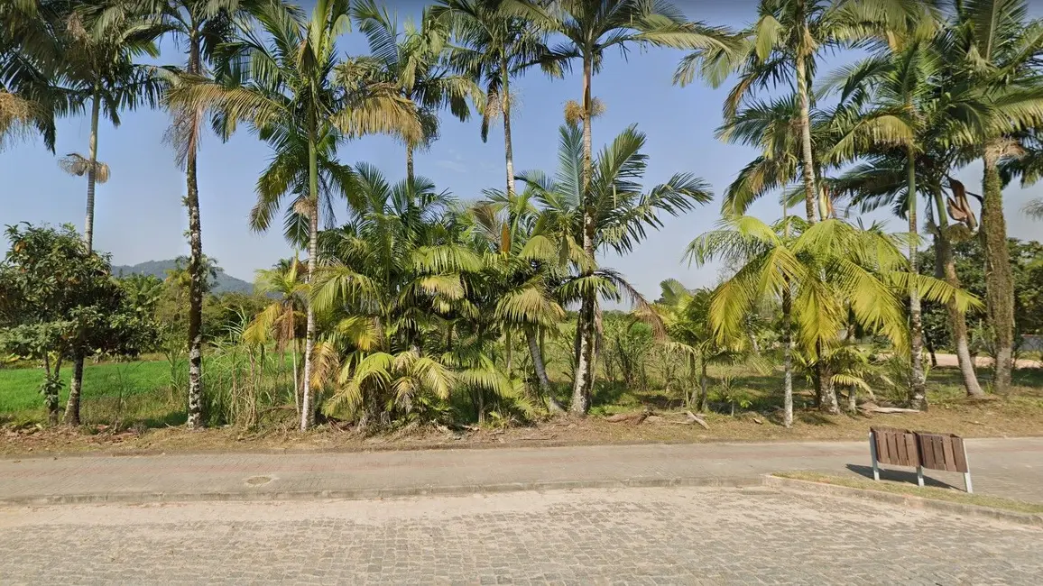 Terreno / Lote à venda, 517m2 em Centro, Rio Dos Cedros - SC - imagem 1 Foto 1 de Terreno / Lote à venda, 517m2 em Centro, Rio Dos Cedros - SC