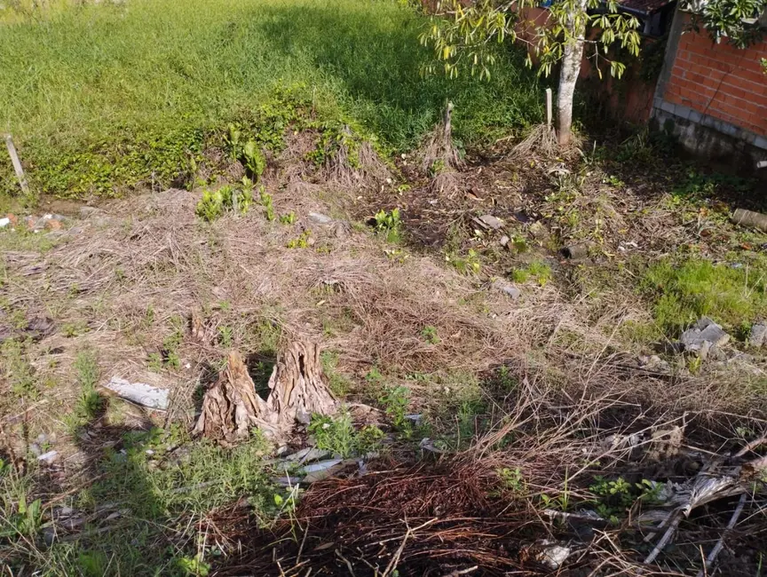 Foto 2 de Terreno / Lote à venda, 375m2 em Pomerode - SC