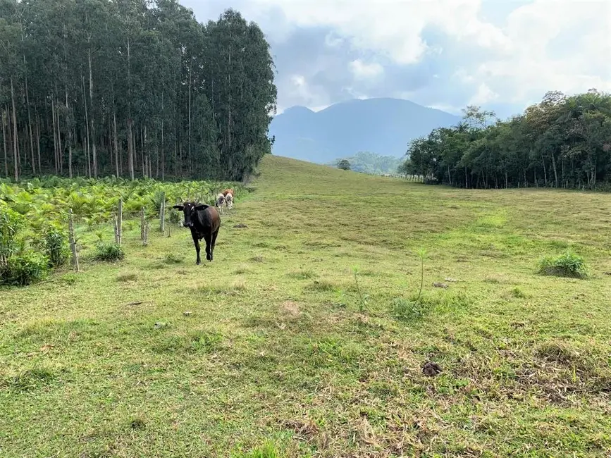 Foto 5 de Terreno / Lote à venda, 23867m2 em Rio Dos Cedros - SC