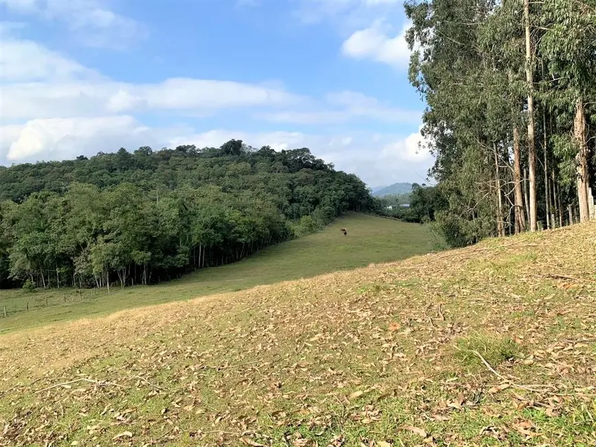Foto 1 de Terreno / Lote à venda, 23867m2 em Rio Dos Cedros - SC