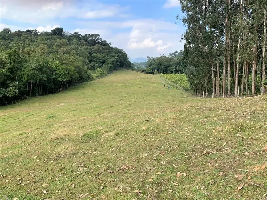 Foto 4 de Terreno / Lote à venda, 23867m2 em Rio Dos Cedros - SC