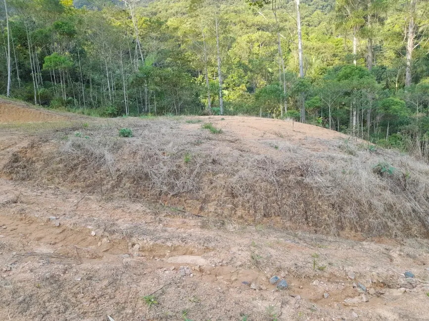 Terreno / Lote à venda, 20000m2 em Pomerode - SC - imagem 4 Foto 4 de Terreno / Lote à venda, 20000m2 em Pomerode - SC