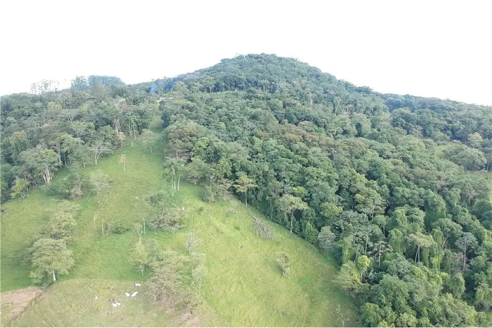 Sítio / Rancho com 3 quartos à venda, 137674m2 em Pomerode - SC - imagem 6 Foto 6 de Sítio / Rancho com 3 quartos à venda, 137674m2 em Pomerode - SC