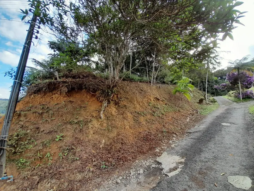 Terreno / Lote à venda, 2500m2 em Pomerode - SC - imagem 1 Foto 1 de Terreno / Lote à venda, 2500m2 em Pomerode - SC