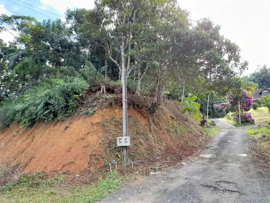 Terreno / Lote à venda, 2500m2 em Pomerode - SC - imagem 5 Foto 5 de Terreno / Lote à venda, 2500m2 em Pomerode - SC