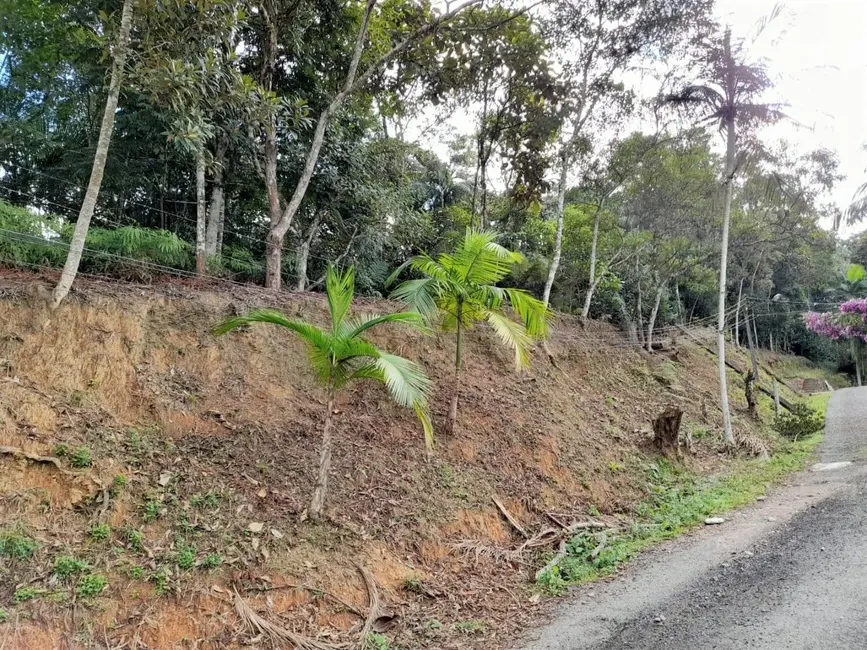 Terreno / Lote à venda, 2500m2 em Pomerode - SC - imagem 3 Foto 3 de Terreno / Lote à venda, 2500m2 em Pomerode - SC