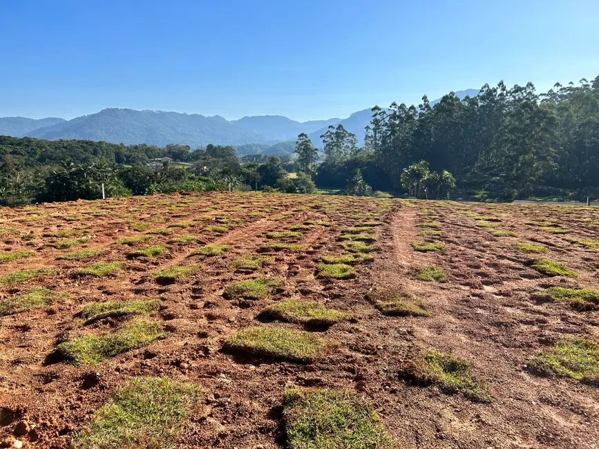 Terreno / Lote à venda, 485m2 em Rio Dos Cedros - SC - imagem 6 Foto 6 de Terreno / Lote à venda, 485m2 em Rio Dos Cedros - SC