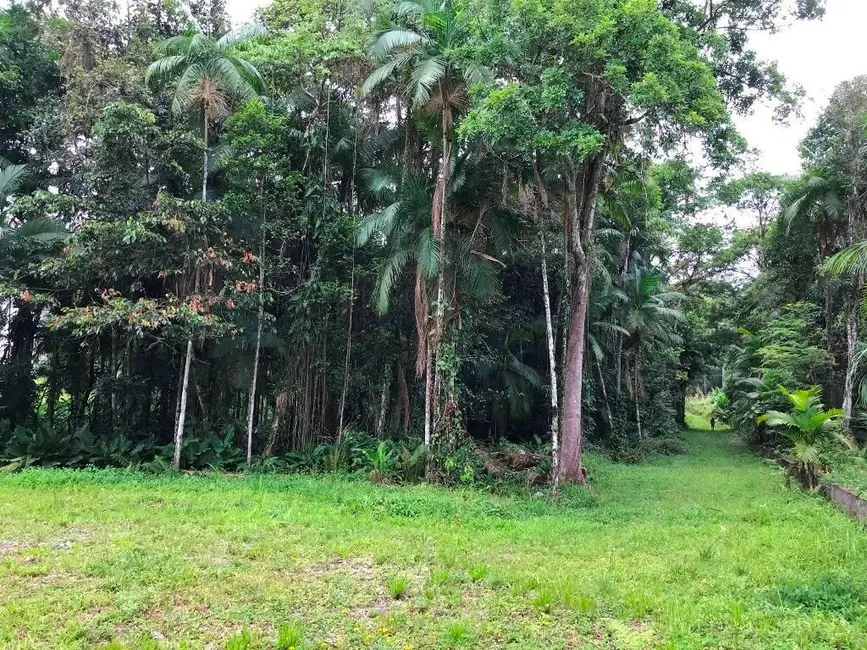 Terreno / Lote à venda, 9687m2 em Centro, Pomerode - SC - imagem 8 Foto 8 de Terreno / Lote à venda, 9687m2 em Centro, Pomerode - SC
