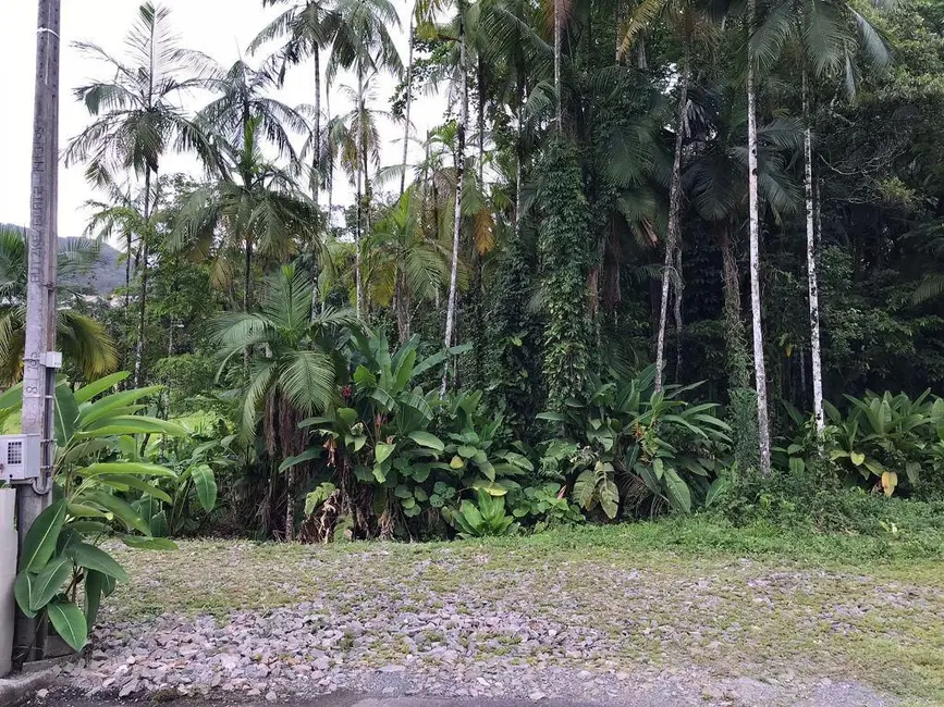 Terreno / Lote à venda, 9687m2 em Centro, Pomerode - SC - imagem 7 Foto 7 de Terreno / Lote à venda, 9687m2 em Centro, Pomerode - SC