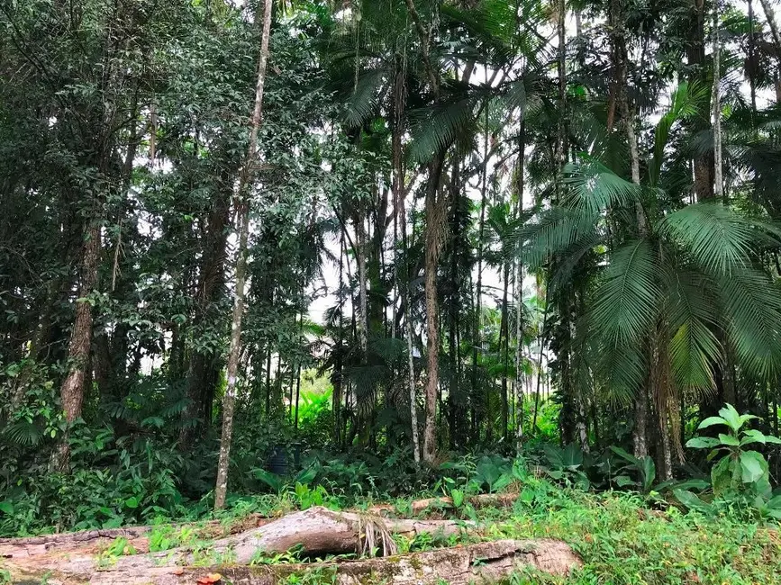 Terreno / Lote à venda, 9687m2 em Centro, Pomerode - SC - imagem 5 Foto 5 de Terreno / Lote à venda, 9687m2 em Centro, Pomerode - SC
