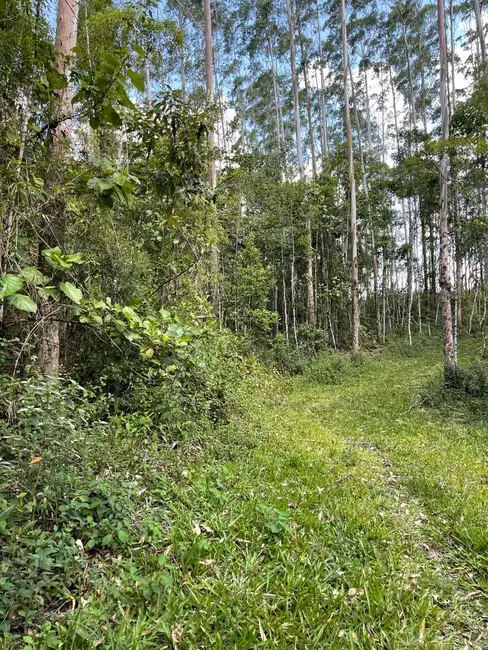 Foto 2 de Terreno / Lote à venda, 55000m2 em Pomerode - SC