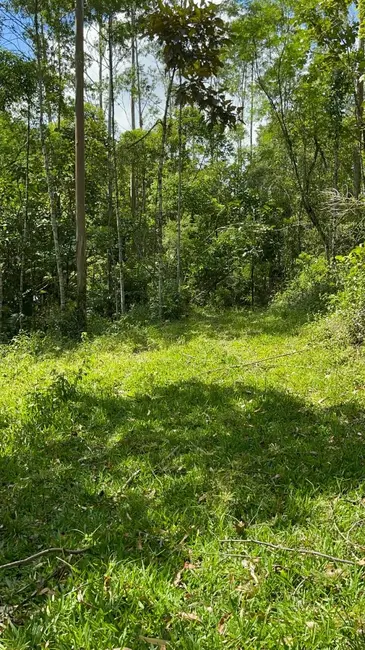 Terreno / Lote à venda, 55000m2 em Pomerode - SC - imagem 3 Foto 3 de Terreno / Lote à venda, 55000m2 em Pomerode - SC