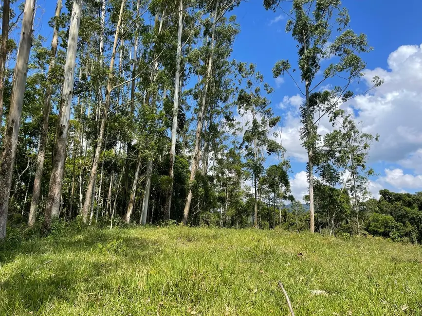Foto 1 de Terreno / Lote à venda, 55000m2 em Pomerode - SC