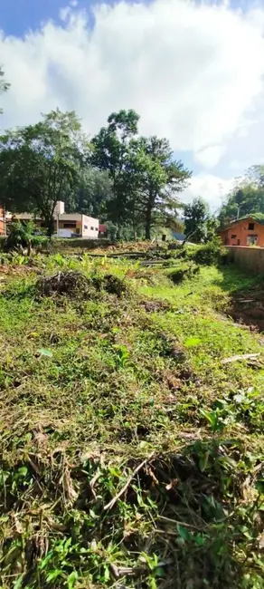 Terreno / Lote à venda, 2500m2 em Pomerode - SC - imagem 5 Foto 5 de Terreno / Lote à venda, 2500m2 em Pomerode - SC