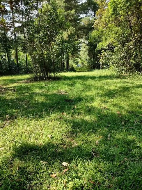 Terreno / Lote à venda em Pomerode - SC - imagem 3 Foto 3 de Terreno / Lote à venda em Pomerode - SC