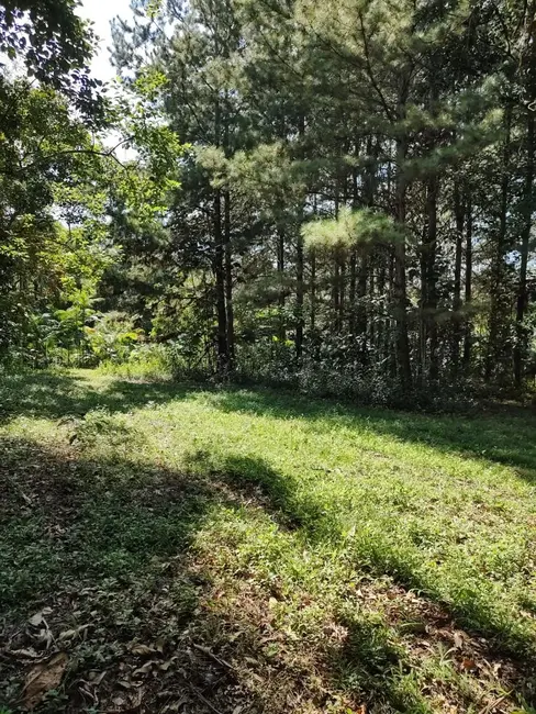 Foto 11 de Terreno / Lote à venda em Pomerode - SC