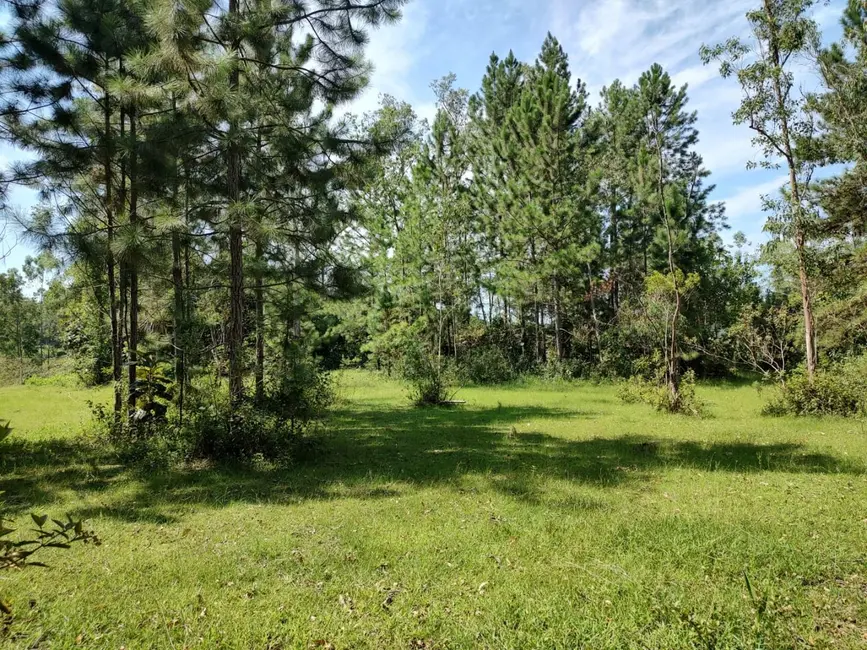 Foto 1 de Terreno / Lote à venda em Pomerode - SC