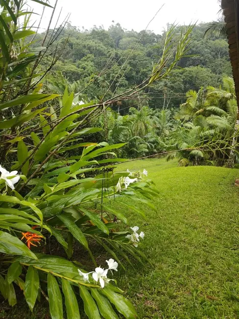 Terreno / Lote à venda, 20000m2 em Pomerode - SC - imagem 7 Foto 7 de Terreno / Lote à venda, 20000m2 em Pomerode - SC