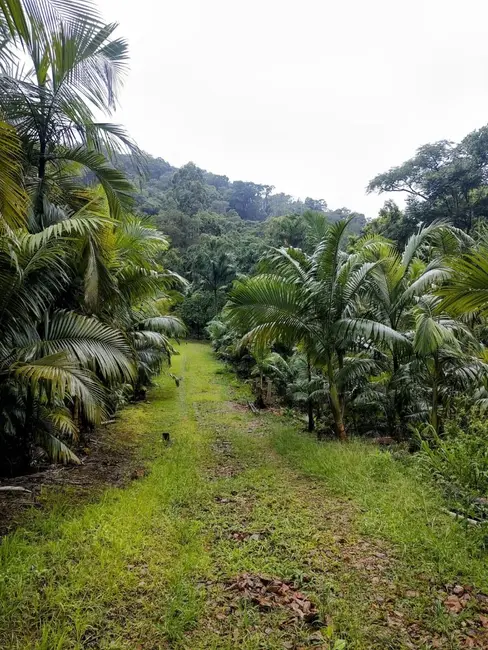 Terreno / Lote à venda, 20000m2 em Pomerode - SC - imagem 3 Foto 3 de Terreno / Lote à venda, 20000m2 em Pomerode - SC