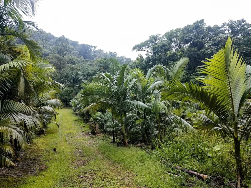 Terreno / Lote à venda, 20000m2 em Pomerode - SC - imagem 6 Foto 6 de Terreno / Lote à venda, 20000m2 em Pomerode - SC
