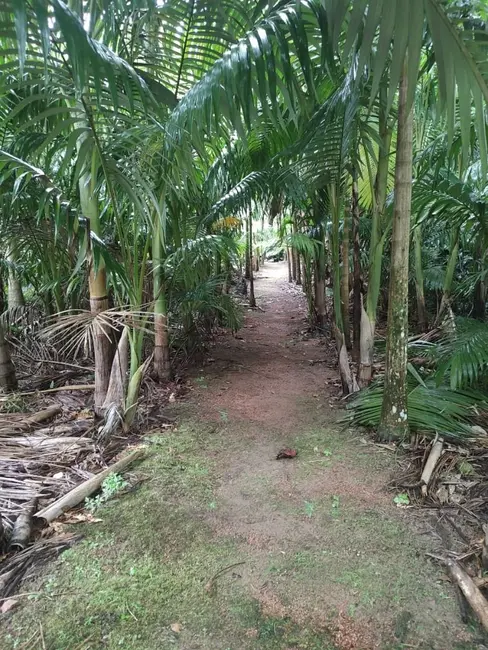 Terreno / Lote à venda, 20000m2 em Pomerode - SC - imagem 5 Foto 5 de Terreno / Lote à venda, 20000m2 em Pomerode - SC