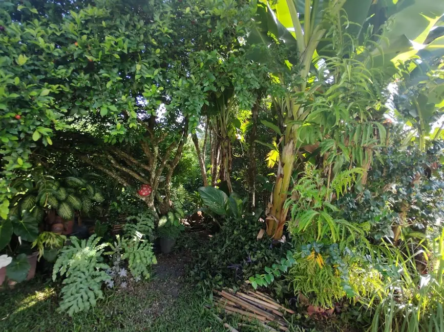 Casa com 3 quartos à venda, 571m2 em Pomerode - SC - imagem 3 Foto 3 de Casa com 3 quartos à venda, 571m2 em Pomerode - SC