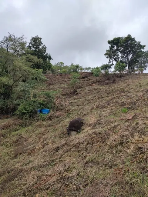 Foto 21 de Sítio / Rancho à venda em Pomerode - SC