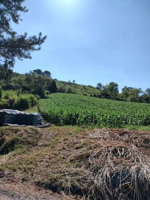 Sítio / Rancho à venda em Pomerode - SC - imagem 7 Foto 7 de Sítio / Rancho à venda em Pomerode - SC