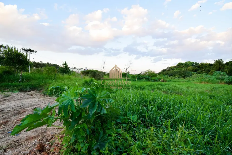 Foto 7 de Terreno / Lote à venda, 11868m2 em Cidade Industrial, Curitiba - PR