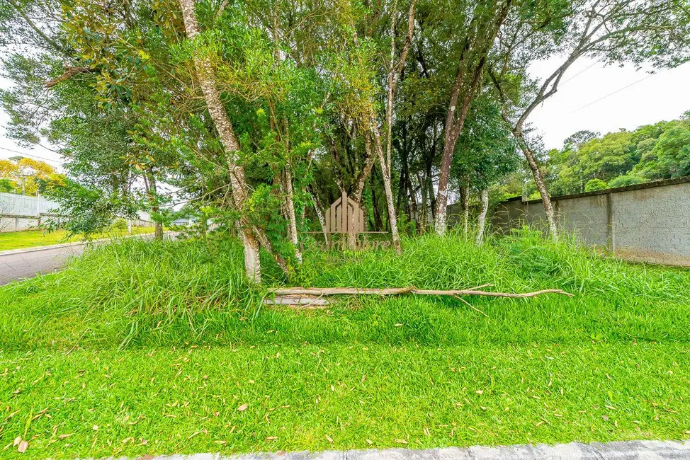 Foto 8 de Terreno / Lote à venda, 1859m2 em Orleans, Curitiba - PR