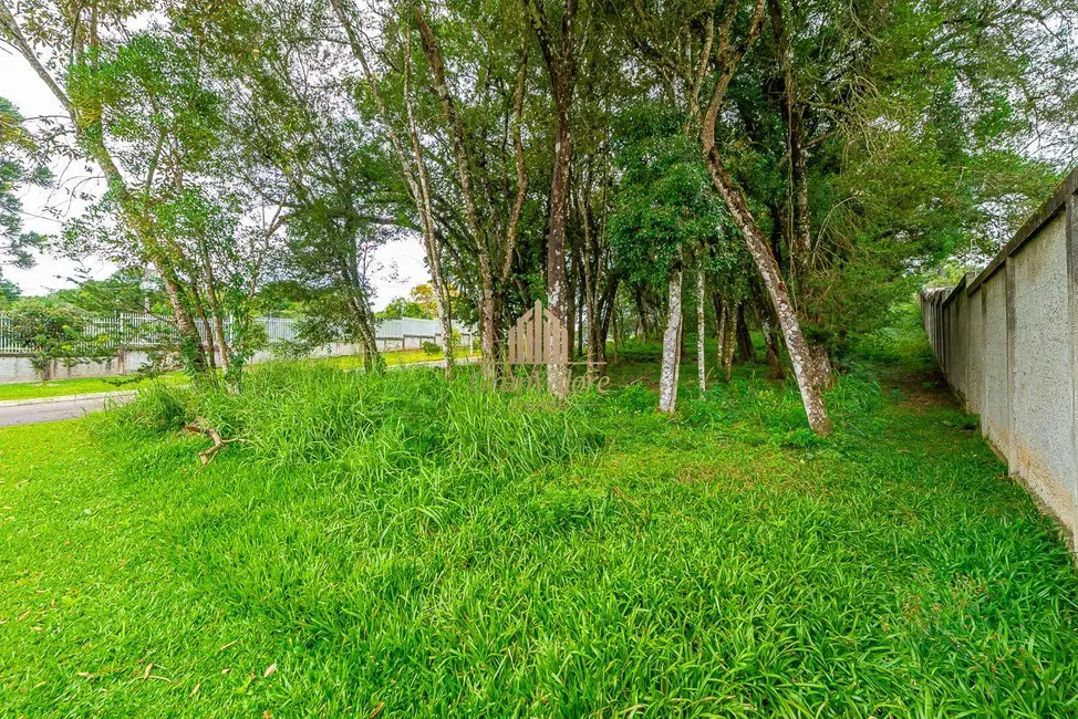 Foto 9 de Terreno / Lote à venda, 1859m2 em Orleans, Curitiba - PR