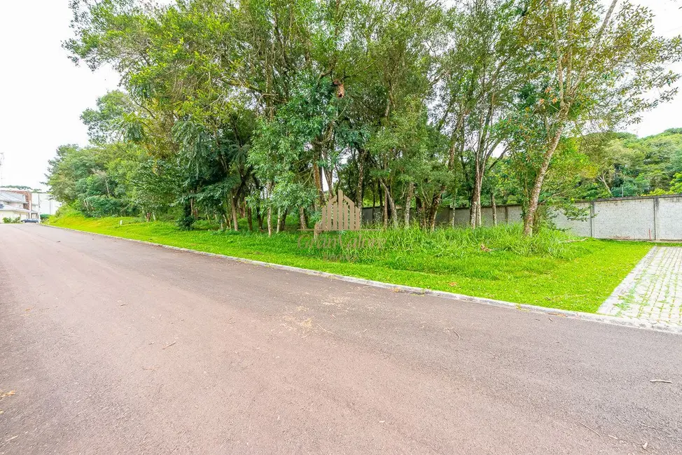 Foto 7 de Terreno / Lote à venda, 1859m2 em Orleans, Curitiba - PR