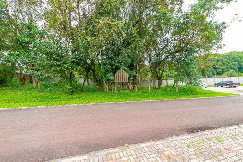Foto 6 de Terreno / Lote à venda, 1859m2 em Orleans, Curitiba - PR