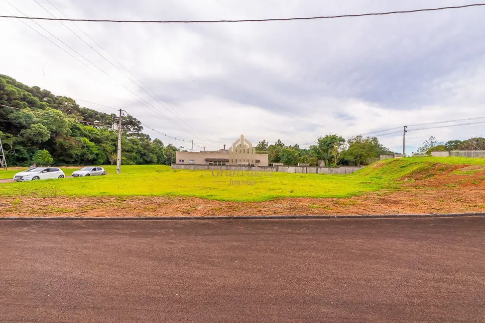 Terreno / Lote à venda, 2976m2 em Orleans, Curitiba - PR - imagem 8 Foto 8 de Terreno / Lote à venda, 2976m2 em Orleans, Curitiba - PR