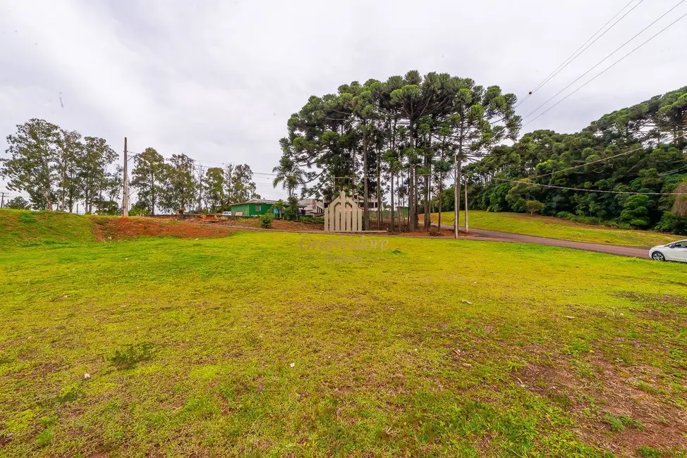 Terreno / Lote à venda, 2976m2 em Orleans, Curitiba - PR - imagem 3 Foto 3 de Terreno / Lote à venda, 2976m2 em Orleans, Curitiba - PR