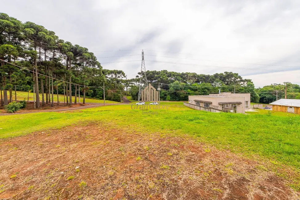Terreno / Lote à venda, 2976m2 em Orleans, Curitiba - PR - imagem 5 Foto 5 de Terreno / Lote à venda, 2976m2 em Orleans, Curitiba - PR