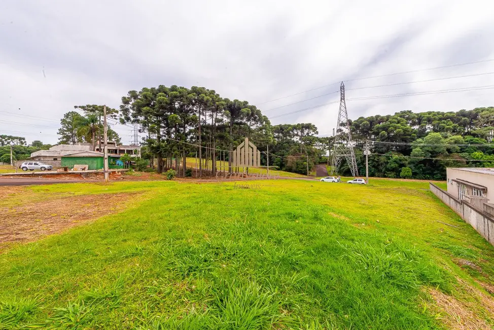 Terreno / Lote à venda, 2976m2 em Orleans, Curitiba - PR - imagem 4 Foto 4 de Terreno / Lote à venda, 2976m2 em Orleans, Curitiba - PR