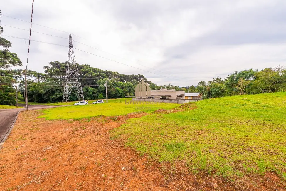 Terreno / Lote à venda, 2976m2 em Orleans, Curitiba - PR - imagem 7 Foto 7 de Terreno / Lote à venda, 2976m2 em Orleans, Curitiba - PR