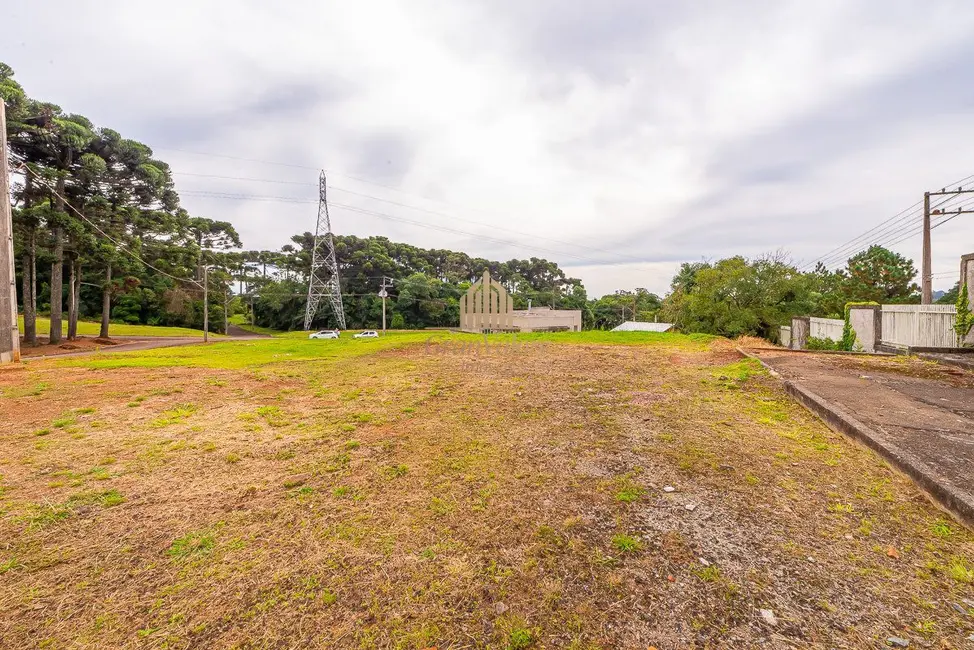 Terreno / Lote à venda, 2976m2 em Orleans, Curitiba - PR - imagem 6 Foto 6 de Terreno / Lote à venda, 2976m2 em Orleans, Curitiba - PR