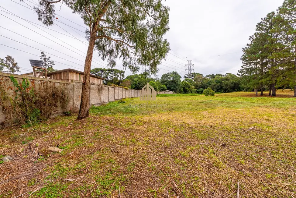 Foto 10 de Terreno / Lote à venda em Orleans, Curitiba - PR