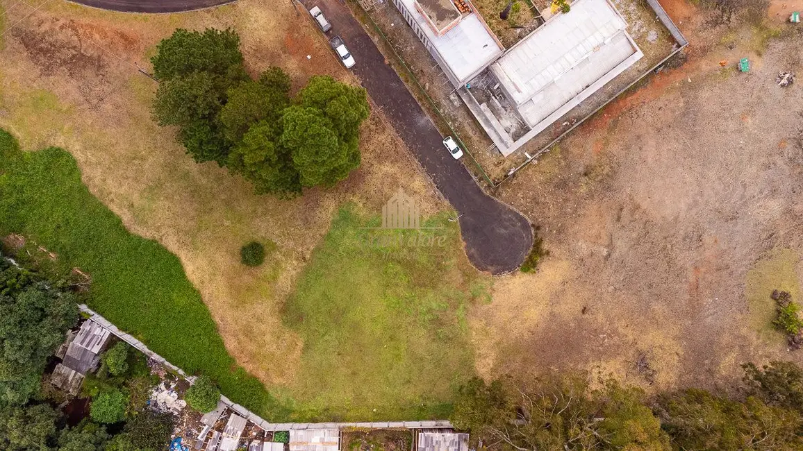 Foto 23 de Terreno / Lote à venda em Orleans, Curitiba - PR
