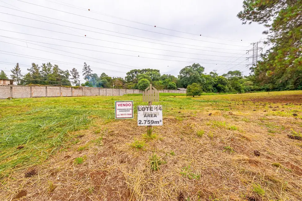 Foto 15 de Terreno / Lote à venda em Orleans, Curitiba - PR
