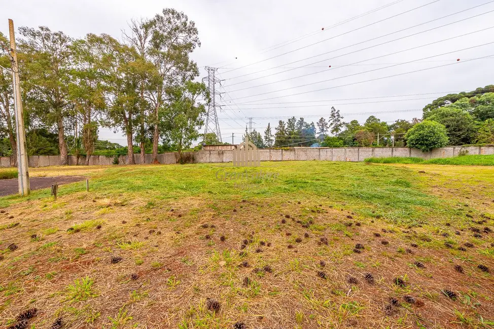 Foto 14 de Terreno / Lote à venda em Orleans, Curitiba - PR