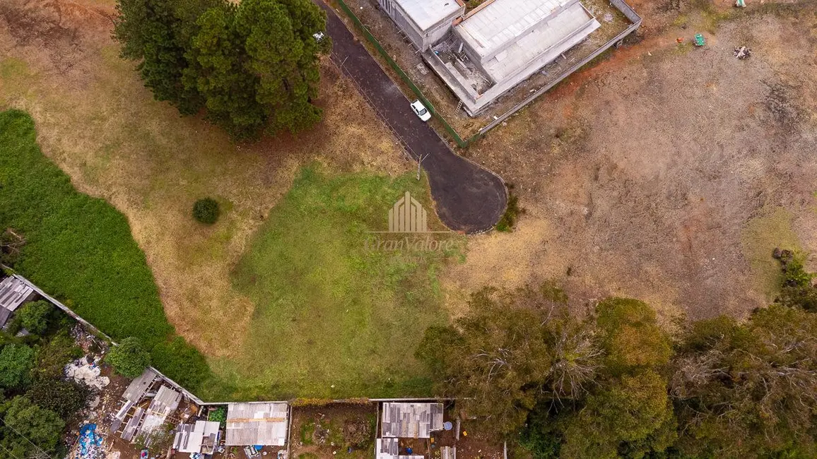 Foto 22 de Terreno / Lote à venda em Orleans, Curitiba - PR