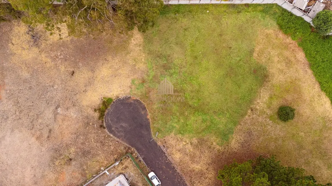 Foto 19 de Terreno / Lote à venda em Orleans, Curitiba - PR