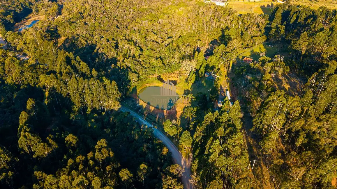Foto 40 de Terreno / Lote à venda, 1230000m2 em Recreio da Serra, Piraquara - PR