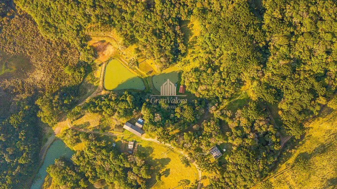 Foto 20 de Terreno / Lote à venda, 1230000m2 em Recreio da Serra, Piraquara - PR