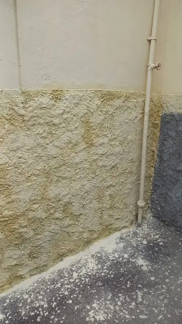 Foto 5 de Casa com 2 quartos à venda, 60m2 em Quintino Bocaiúva, Rio De Janeiro - RJ